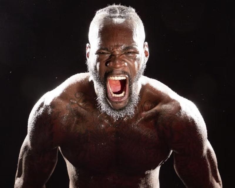 Deontay Wilder is a pro boxer from the United States. He held the WBC heavyweight title from 2015 to 2020, successfully defending it ten times.