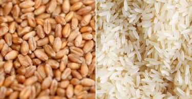Difference Between Rice and Wheat