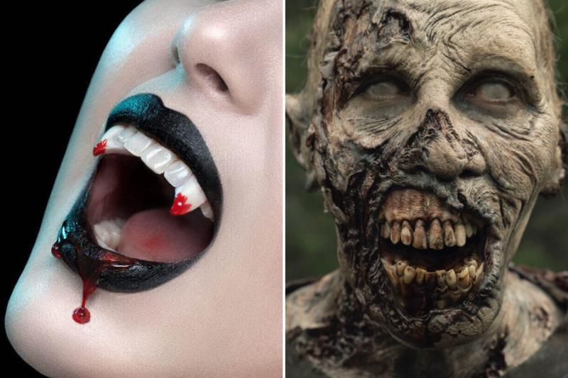 There is a load of disparities between the two words vampires and zombies. Even though the two terms come back from the condition of death, the procedures of coming back from death vary in the cases of these two.