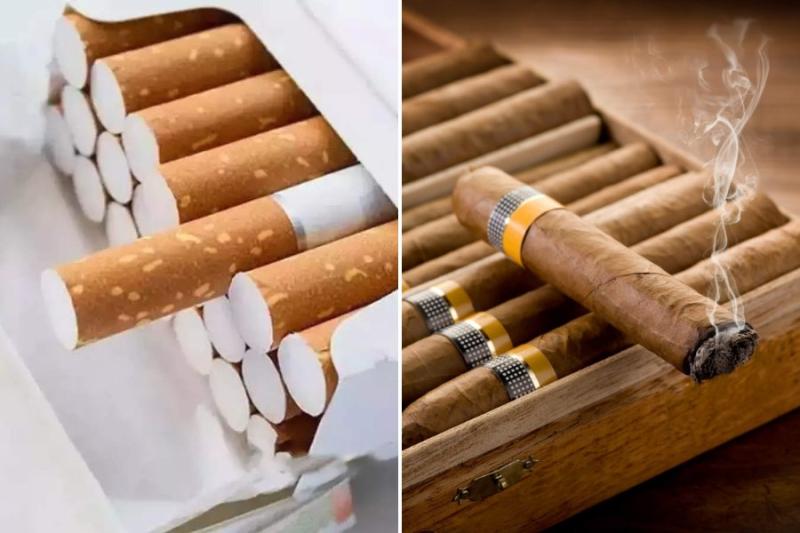 Difference Between Cigar and Cigarette
