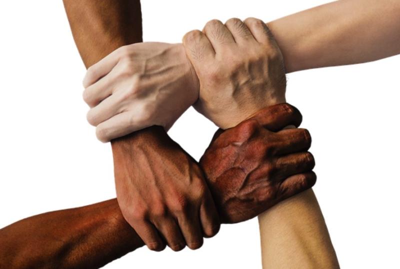 Multiculturalism and assimilation are distinct methods for integrating diverse populations into a society. The primary difference between the two resides in their underlying ideologies and how they foster social cohesion.